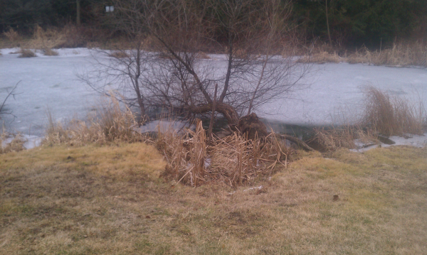 farmington hills  (N) halsted commons (Michigan inlet outlet repair) (2) resized 600