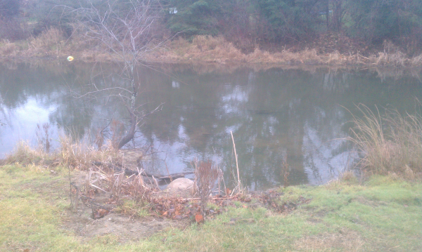 farmington hills  (N) halsted commons (Michigan inlet outlet repair) (12) resized 600