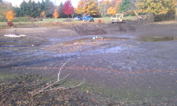 Fenton michigan pond renovation Genesee county (11) resized 600