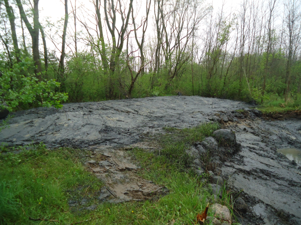 Flint clean out pond store(N Pond maintenance service Michigan) (18) resized 600