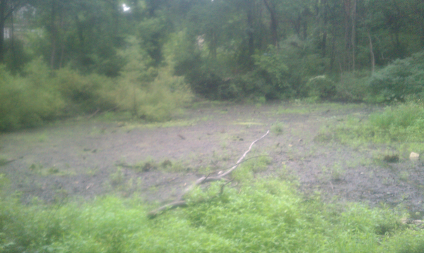 Fenton(N) Michigan wetland pond Genesee county (2) resized 600