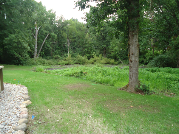 Fenton(N) Michigan wetland pond Genesee county (6) resized 600