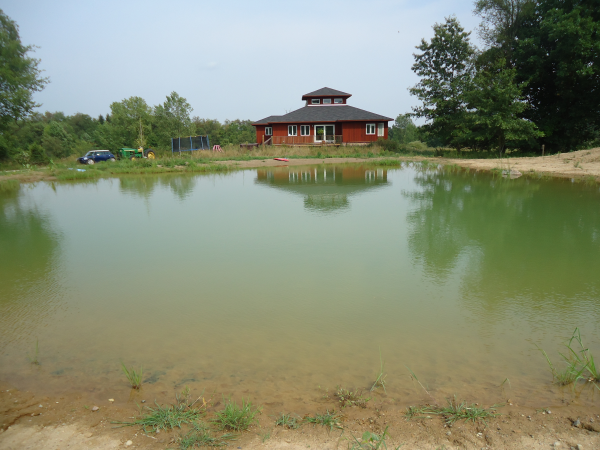 Dexter pond new (N Washtenaw county pond builder, construction, build a pond) (5) resized 600
