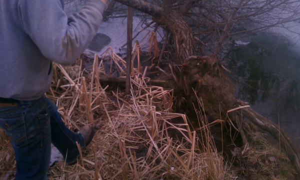 farmington hills  (N) halsted commons (Michigan inlet outlet repair) (3) resized 600