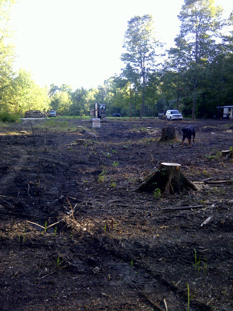 Hadley (N pond consultant Michigan (12) resized 600