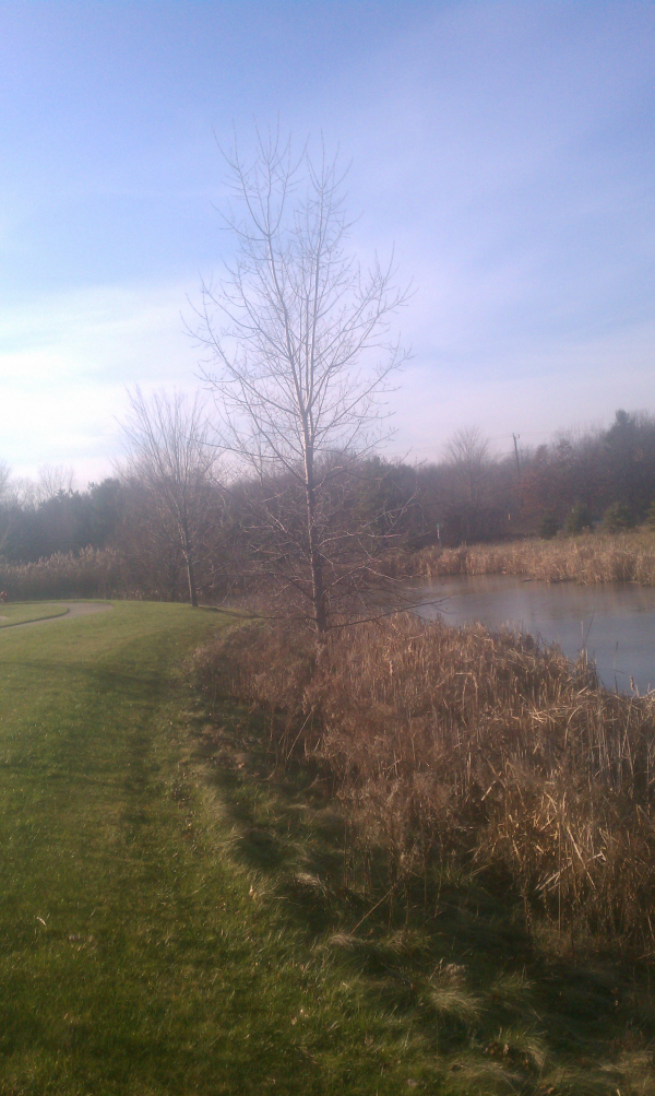 Lake Orion (N Pond culvert repair Michigan ) (9) resized 600