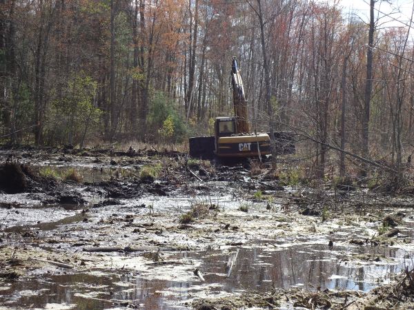 Lapeer (N) Mdeq pond permit help Michigan wetlands  (49) resized 600