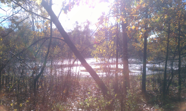 Fenton michigan pond renovation Genesee county (4) resized 600