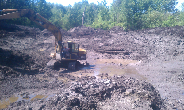 Northville  Bill Harley MDEQ pond  consultant   (N Northvill (4) resized 600