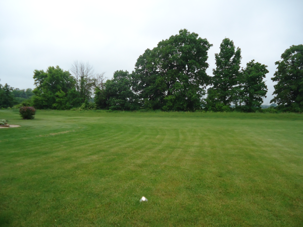 Flushing, Michigan pond berm banks repair Michigan   (21) resized 600