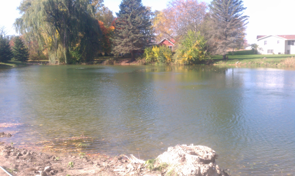 Williamston, Michigan Pond maintenance companies   Ingham county (13) resized 600