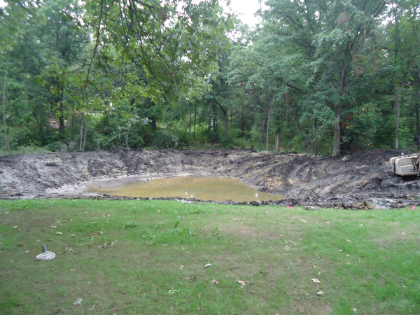 Fenton(N) Michigan wetland pond Genesee county (12) resized 600