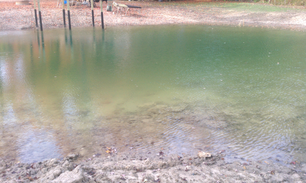 Hadley (N pond consultant Michigan (72) resized 600