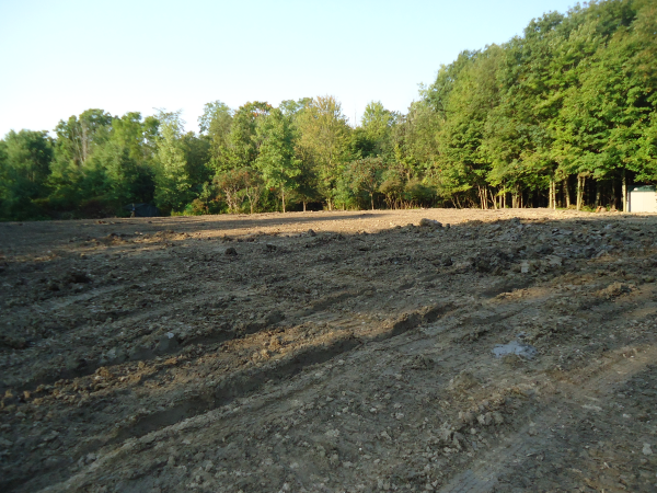Hadley (N pond consultant Michigan (32) resized 600