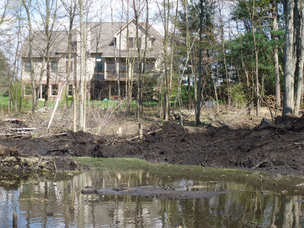 Lapeer (N) Mdeq pond permit help Michigan wetlands  (35) resized 600