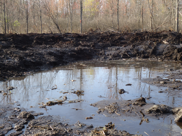 Lapeer (N) Mdeq pond permit help Michigan wetlands  (98) resized 600