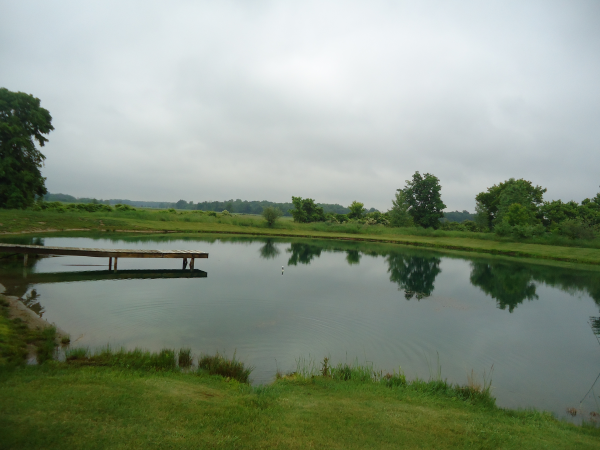 Flushing, Michigan pond berm banks repair Michigan   (19) resized 600