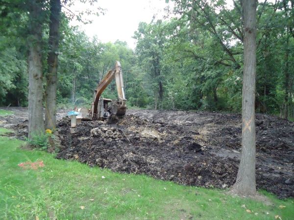 Fenton(N) Michigan wetland pond Genesee county (10) resized 600
