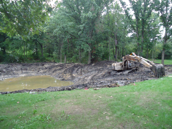Fenton(N)  Michigan wetland pond Genesee county (5) resized 600