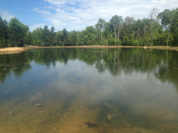 Grayling( N pond Liner help Michigan install (21) resized 600