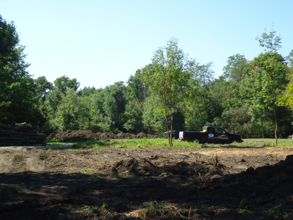 Hadley (N pond consultant Michigan (16) resized 600