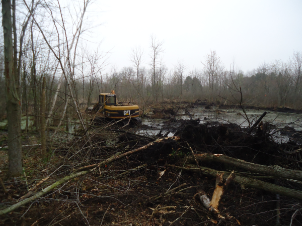 Lapeer (N) Mdeq pond permit help Michigan wetlands  (17) resized 600