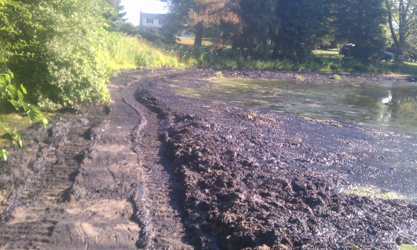 Williamston, Michigan Pond maintenance companies   Ingham county (84) resized 600