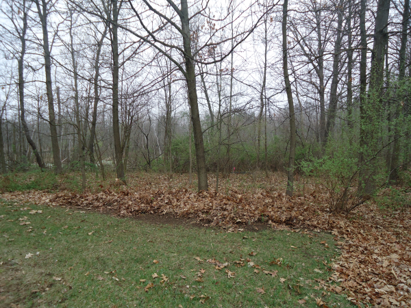 Lapeer (N) Mdeq pond permit help Michigan wetlands  (5) resized 600