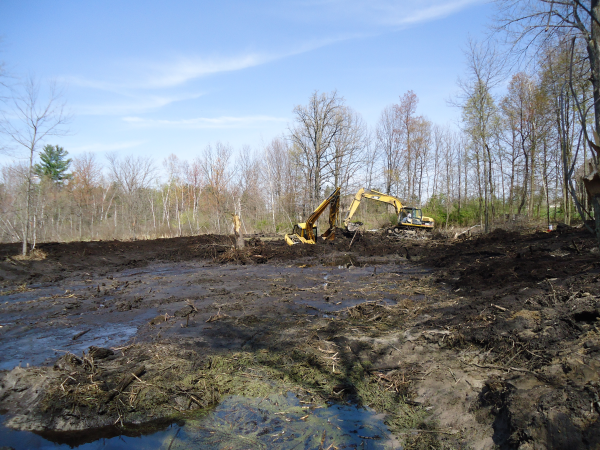 Lapeer (N) Mdeq pond permit help Michigan wetlands  (112) resized 600
