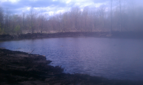 Lapeer (N) Mdeq pond permit help Michigan wetlands  (120) resized 600