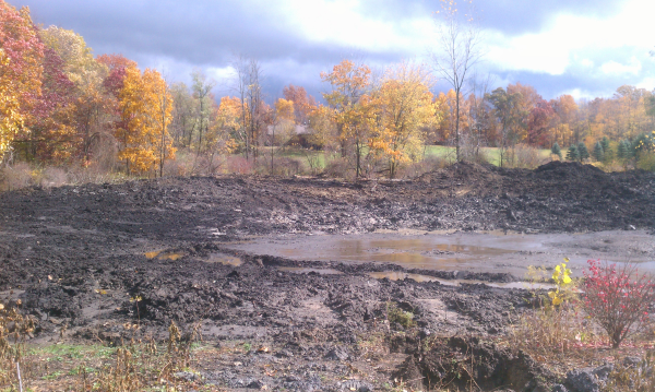 Fenton michigan pond renovation Genesee county (25) resized 600