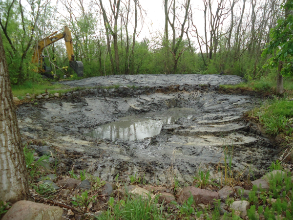 Flint clean out pond store(N Pond maintenance service Michigan) (17) resized 600