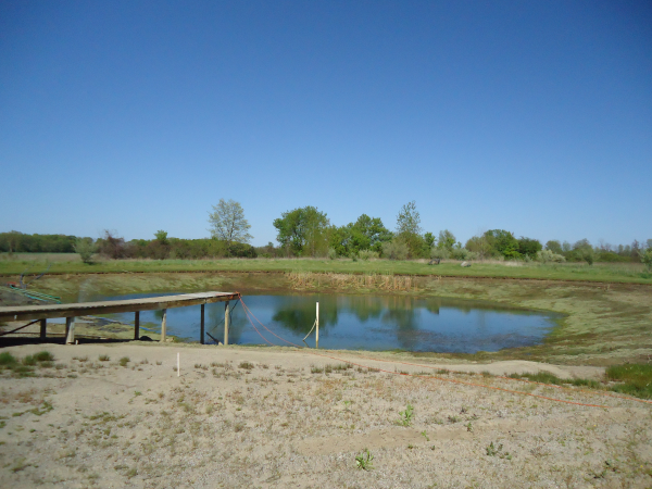Flushing, Michigan pond berm banks repair Michigan   (12) resized 600