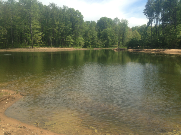 Grayling( N pond Liner help Michigan install (22) resized 600