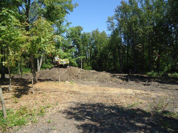 Hadley (N pond consultant Michigan (24) resized 600