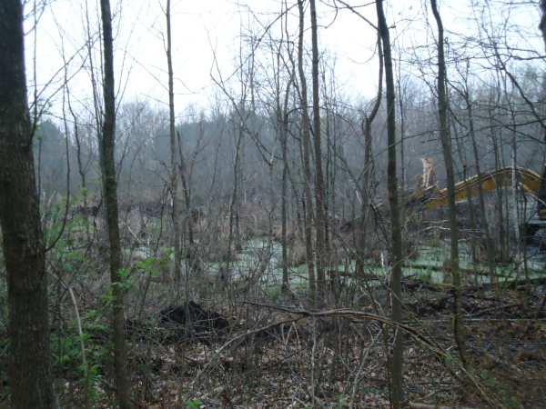 Lapeer (N) Mdeq pond permit help Michigan wetlands  (20) resized 600