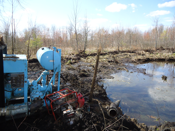 Lapeer (N) Mdeq pond permit help Michigan wetlands  (25) resized 600