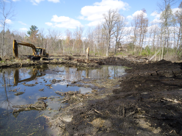 Lapeer (N) Mdeq pond permit help Michigan wetlands  (28) resized 600