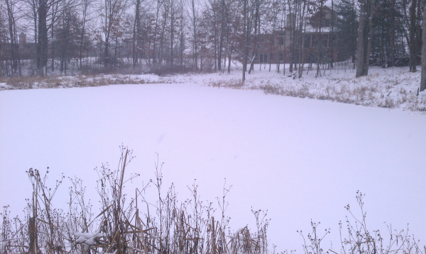 Lapeer (N) Mdeq pond permit help Michigan wetlands  resized 600