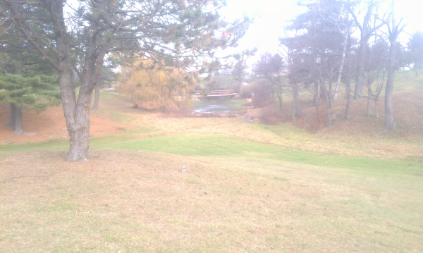 Lexington (N golf couse pond renovation dredge Michigan (15) resized 600