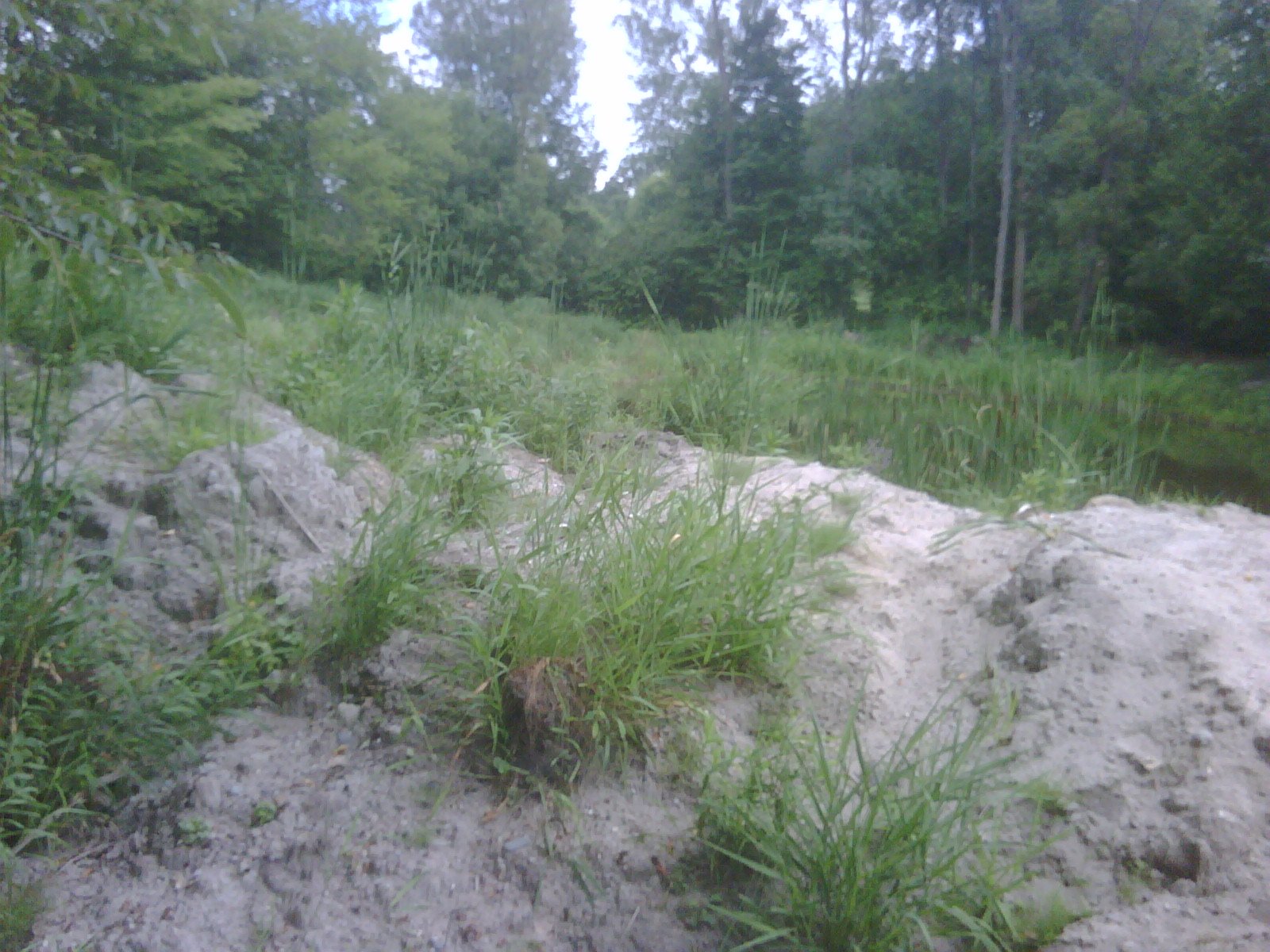 pond dredging michigan