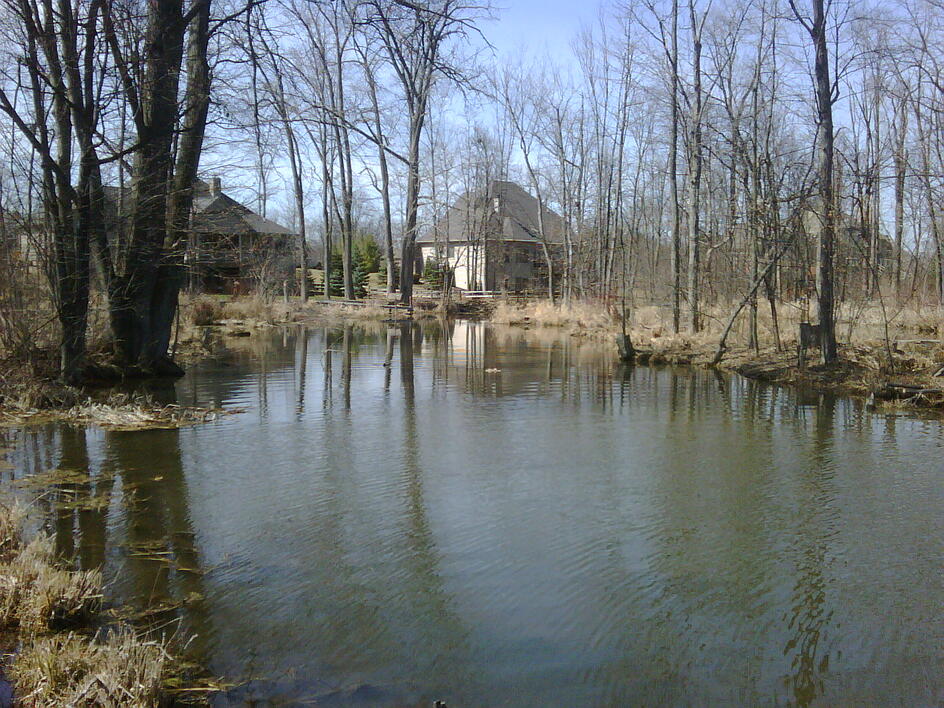 C  Users Scott Pictures ponds a ponds 2010 linden dredge channel n Linden Cannal dredge n (3)