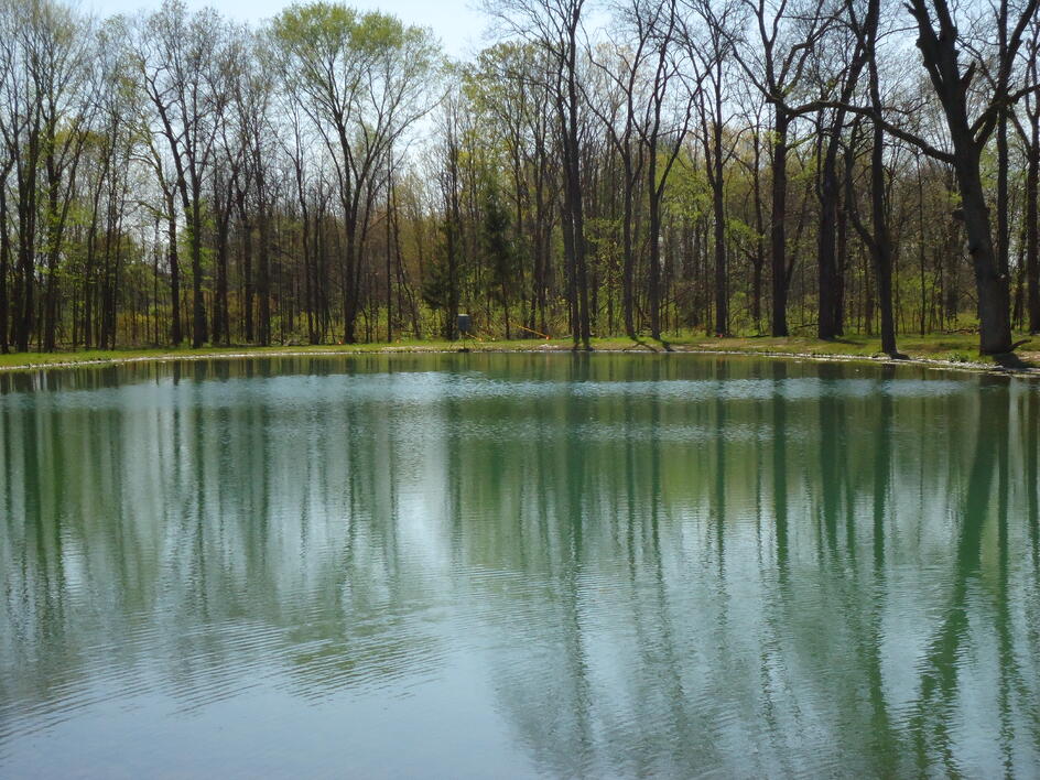 C  Users Scott Pictures ponds a ponds 2011 ann arbor mikee pond 1 ann arbor pond 1 (49)