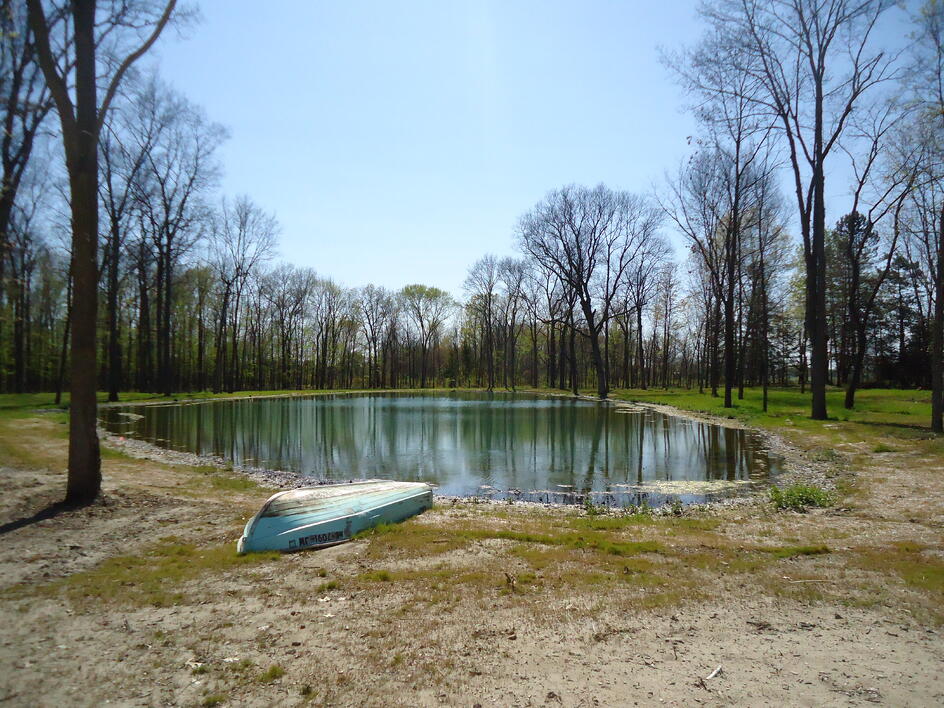 C  Users Scott Pictures ponds a ponds 2011 ann arbor mikee pond 1 ann arbor pond 1 (50)