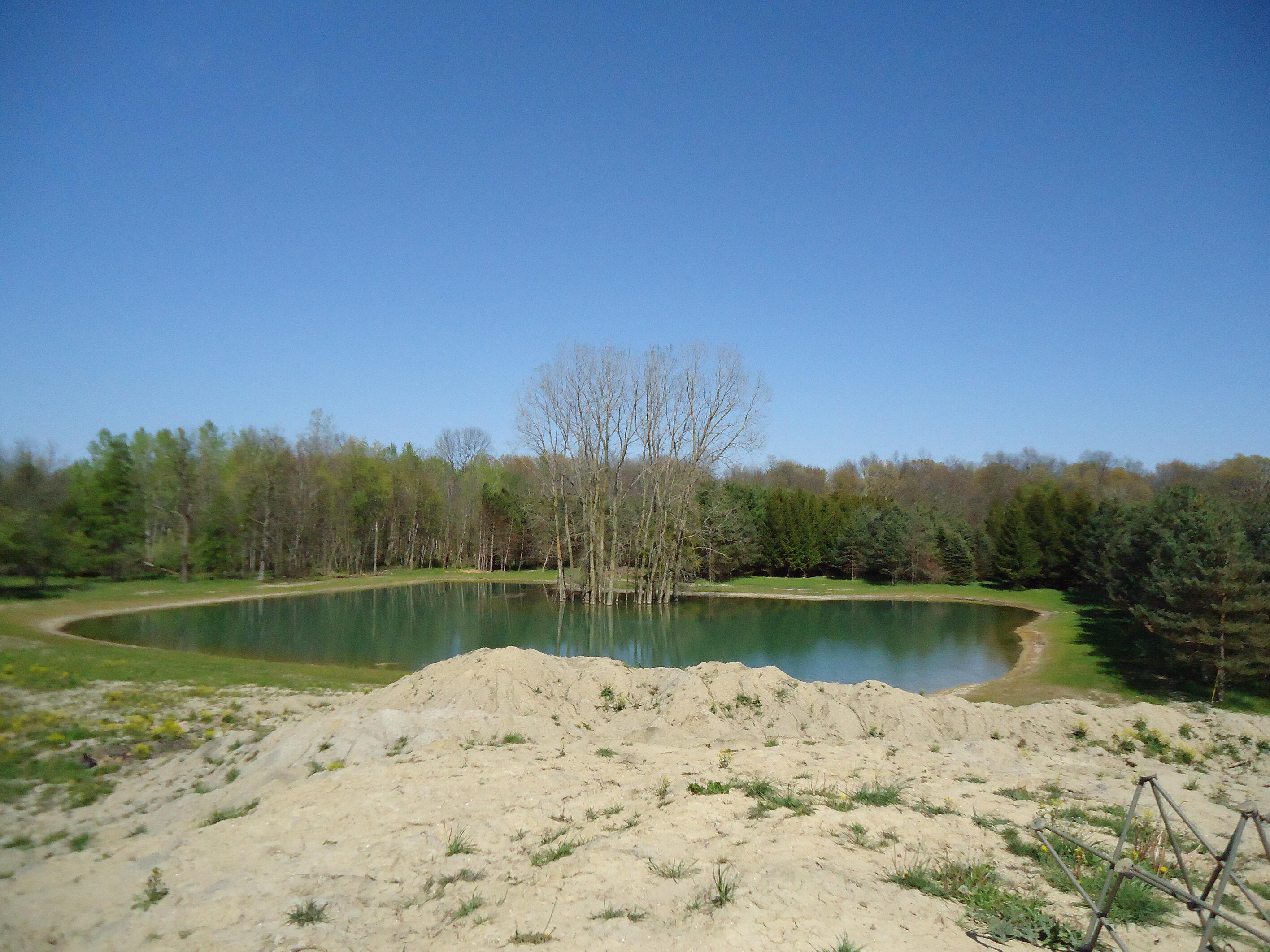 Chelsea Mid Michigan pond digging Dexter
