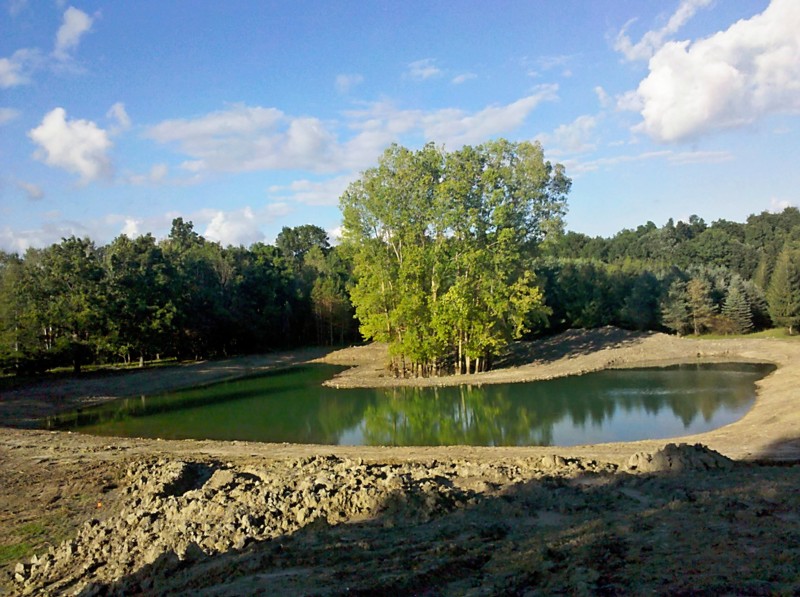 C  Users Scott Pictures ponds a ponds 2011 ann arbor mikee pond 2 Ann Arbor Mikee pond 2  (9)