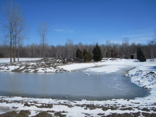 C  Users Scott Pictures ponds a ponds 2011 mayville larger pond mayville resized 600