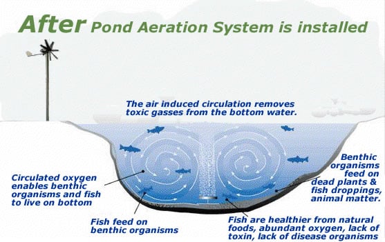 The Only Guide for How To Aerate Water Without Electricity