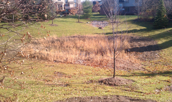 C  Users Scott Pictures ponds a ponds 2011 novi clean out novi detention pond maintenence pone 1 N (2) resized 600