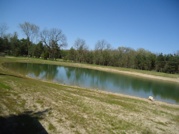 c  Users Scott Pictures ponds a ponds 2011 ann arbor mikee pond 4 ann arbor mikee ( pinckney mid mi pond managment) in (25) resized 600